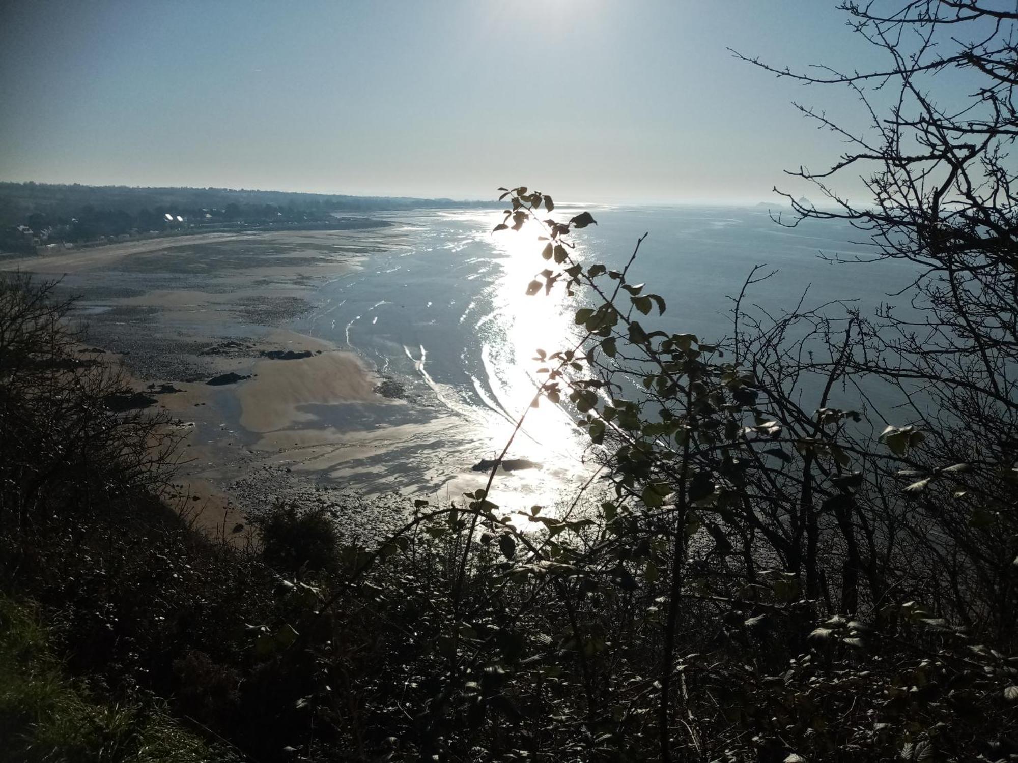 La Campagne Au Bord De La Mer, Chambre Chez L'Habitant Champeaux Exterior foto